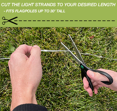 Replacement Dream Light Strand