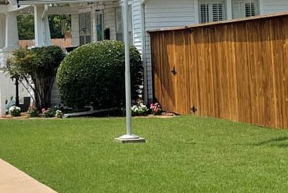 Silver Flagpole Flash Collar