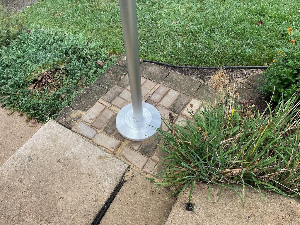 Silver Flagpole Flash Collar