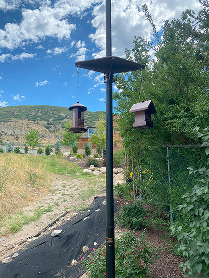 Flagpole Bird Platform and Feeders