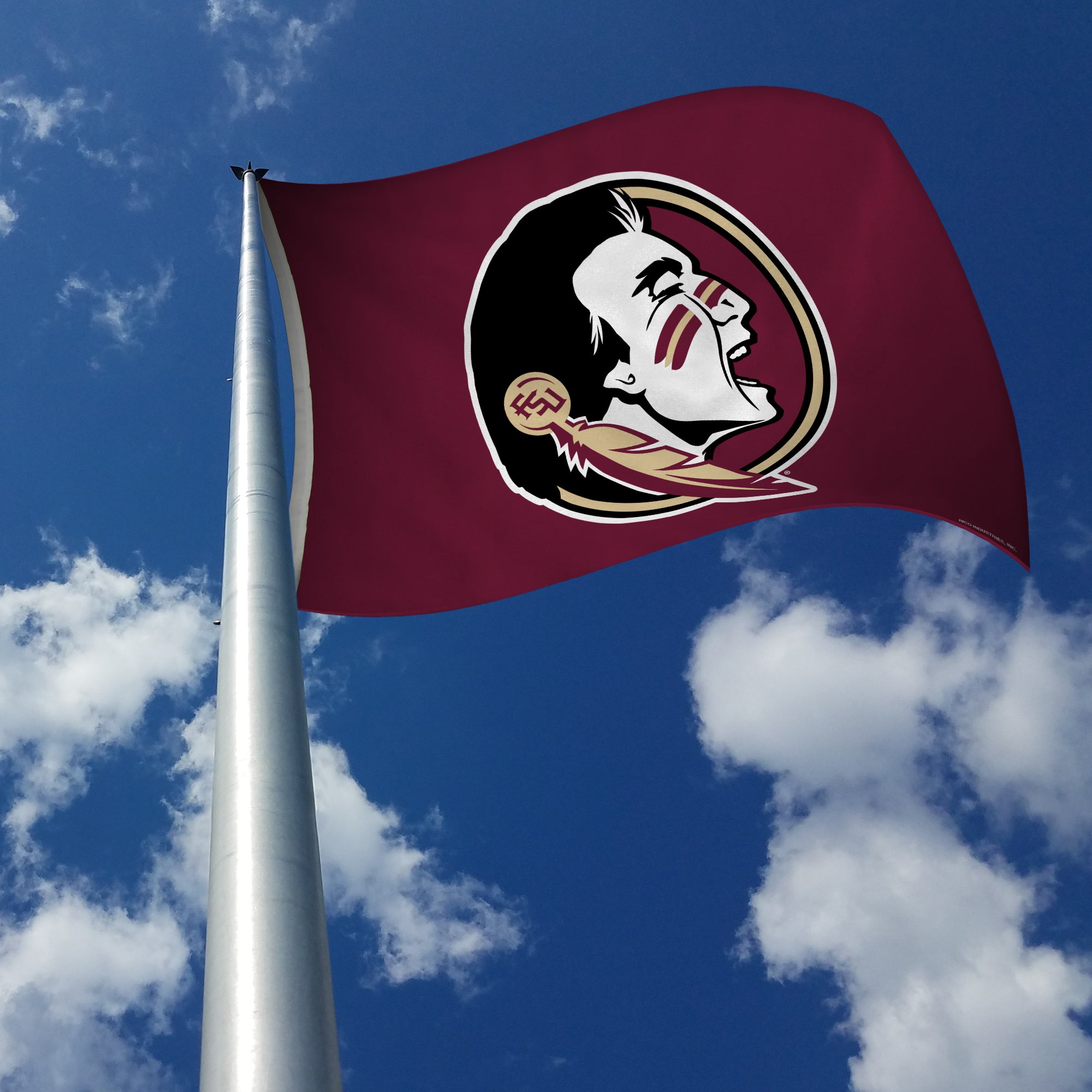 thumbnail image 2 of Florida State Seminoles Flag 3x5 FT – Double-Sided College Football Banner For Tailgates, Man Caves & Game Day 2 of 6