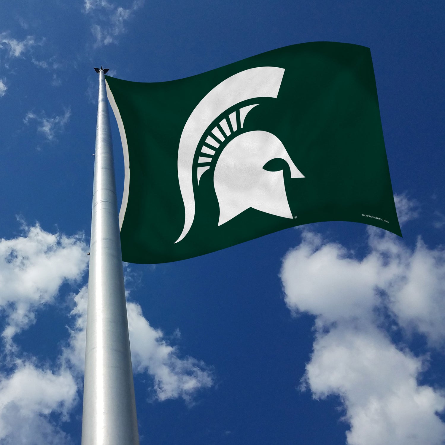 3'x5' Michigan State Spartans Flag – OldGloryFlagpole