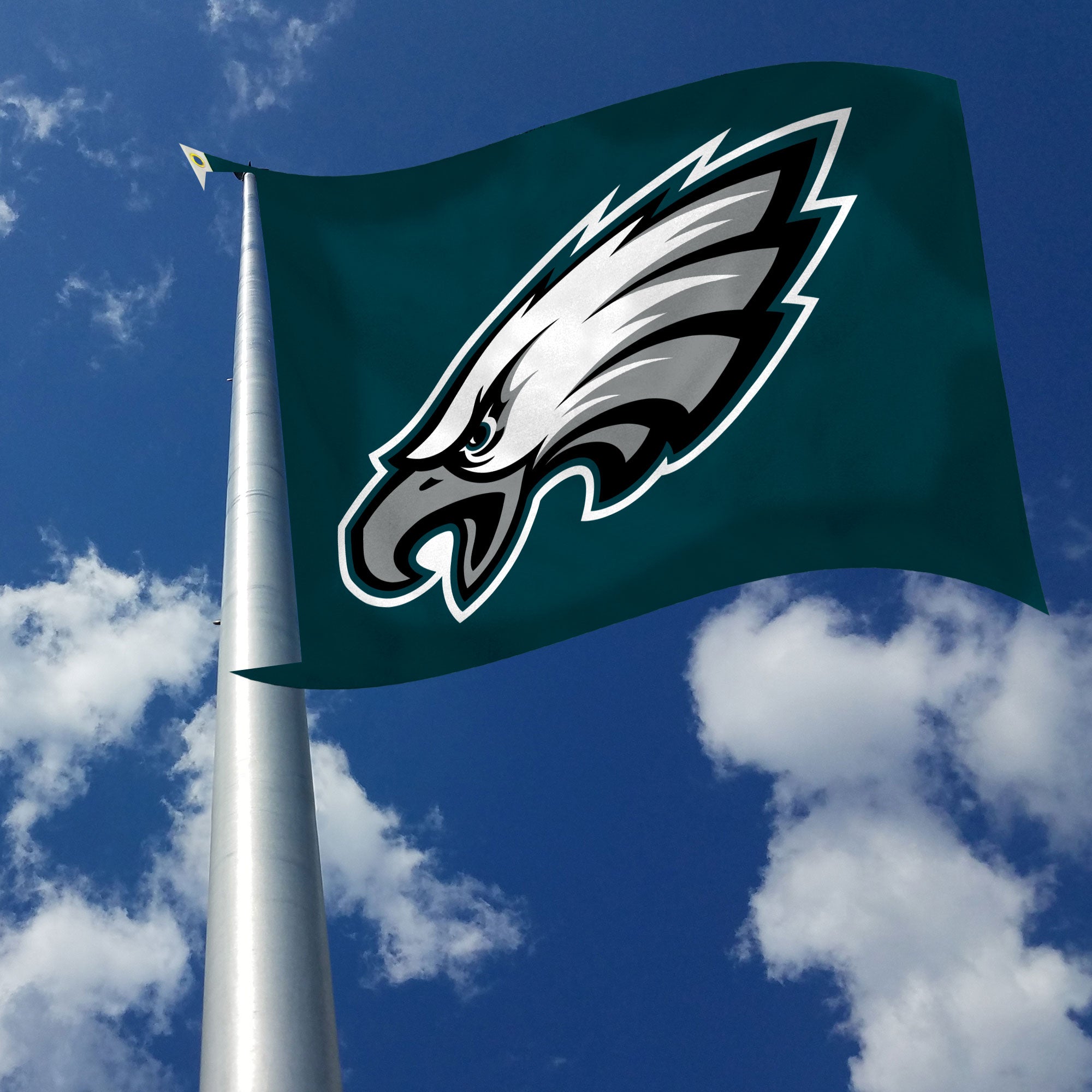 3'x5' Philadelphia Eagles Flag – OldGloryFlagpole