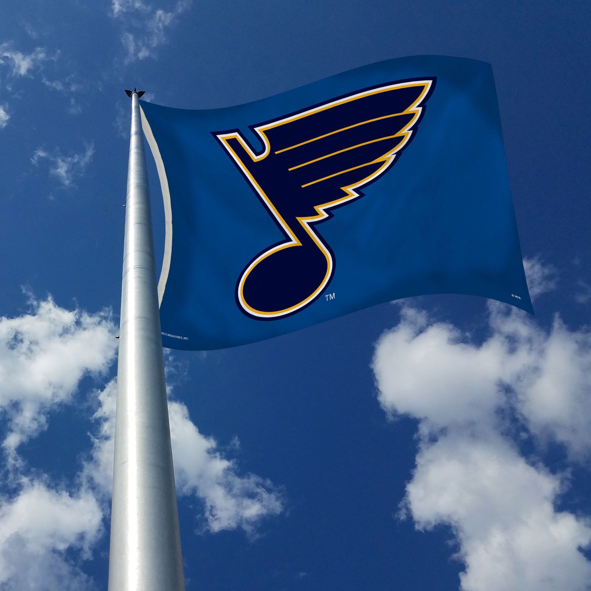 St. Louis Blue Flag NHL 100% Polyester Indoor Outdoor 3x5 feet National  Hockey League Team Flags (Vintage Flag #1)